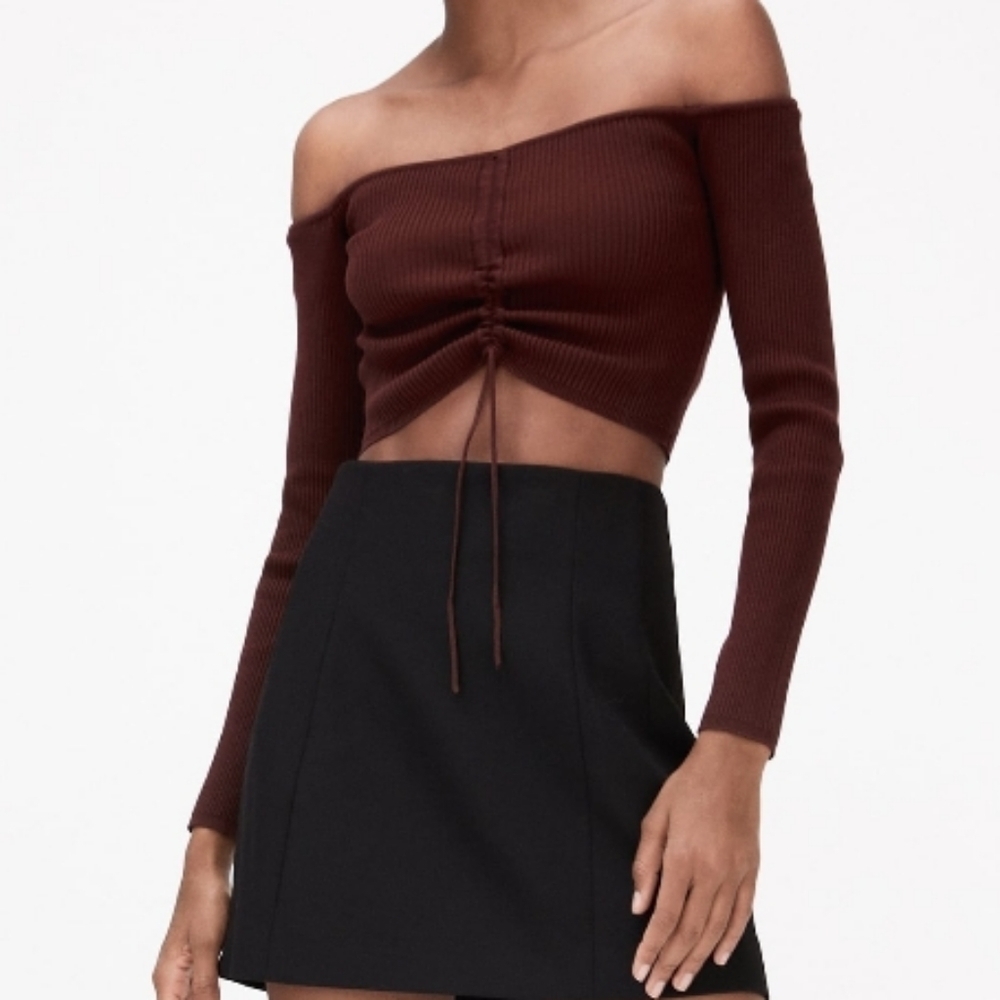 NWT Zara cropped ruched top